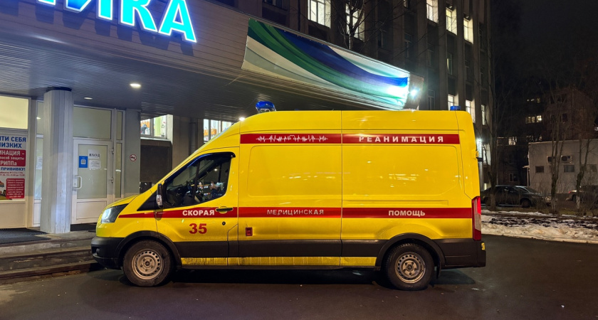 В Брянской области от атаки БПЛА погиб местный житель