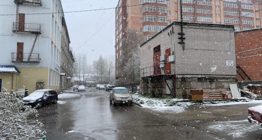 Пятница в Брянской области принесёт тепло до +3 и мокрый снег