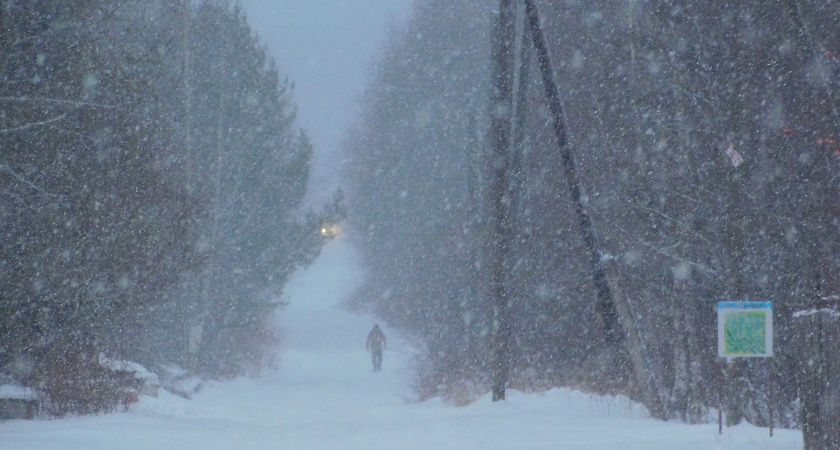 В Брянской области объявлено погодное предупреждение из-за туманов