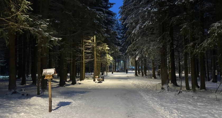 В понедельник Брянскую область ожидает морозная и ветреная погода