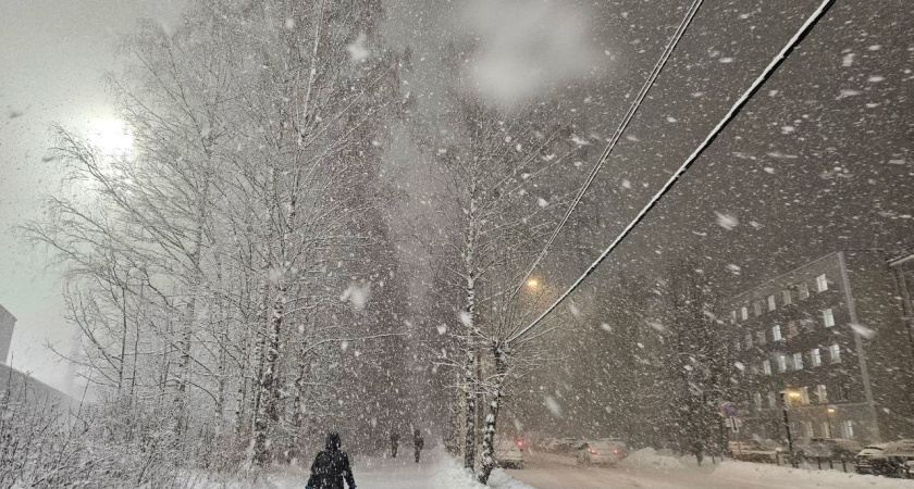 8 января Брянскую область накроют сильные снегопады, ветер и гололедица