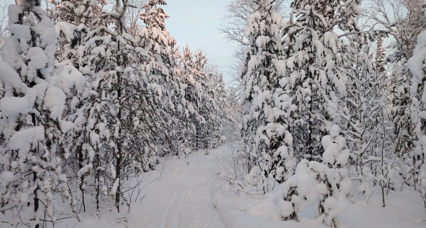 Брянскую область в среду ожидает морозная погода с ночными температурами до -22 градусов