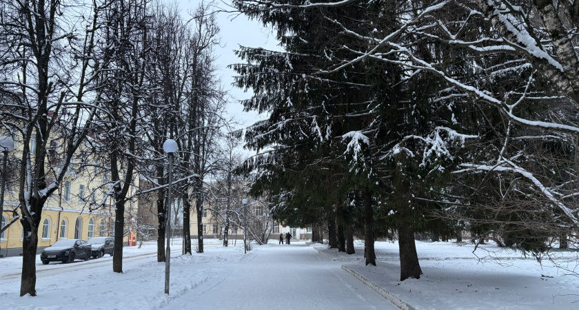 В понедельник в Брянской области сохранятся аномальные морозы