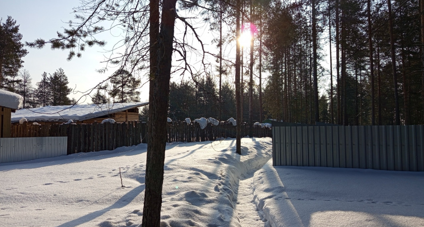 Брянскую область ждут стабильные морозы и северный ветер в конце января