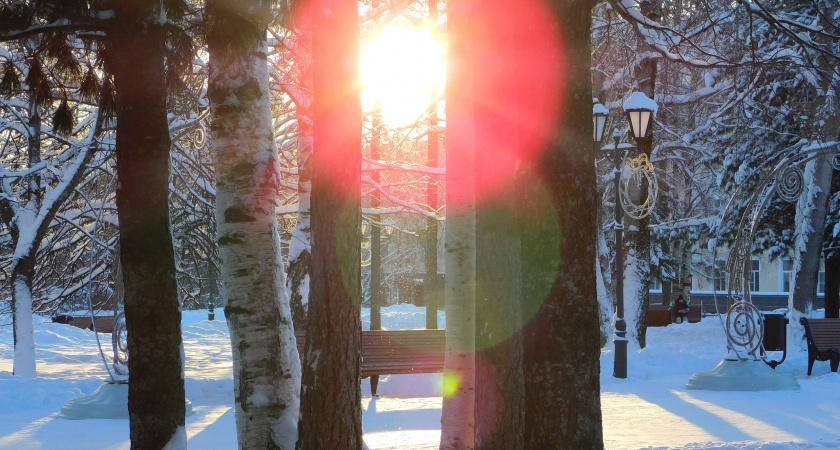 В Брянской области 2 февраля ожидается морозная погода с температурой до –29°