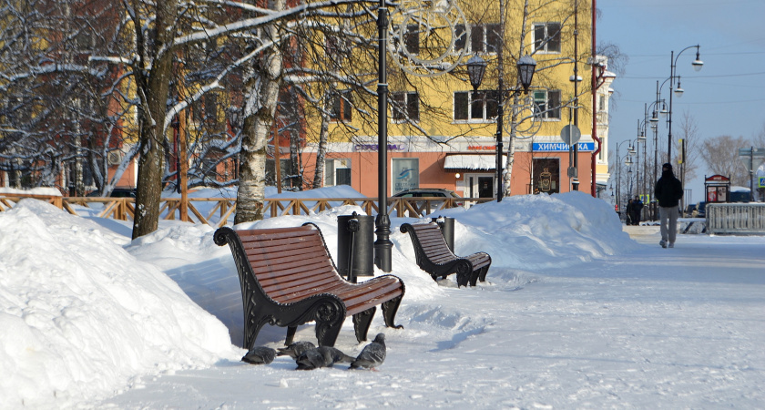 Погода в Брянской области 6 февраля: небольшой снег и мороз до -16°