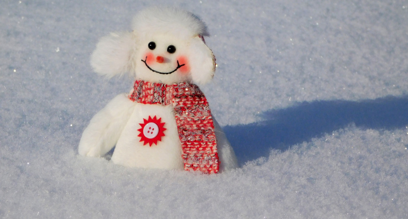 Погода в Брянской области 12 февраля: ожидаются снег, гололёд и порывистый ветер