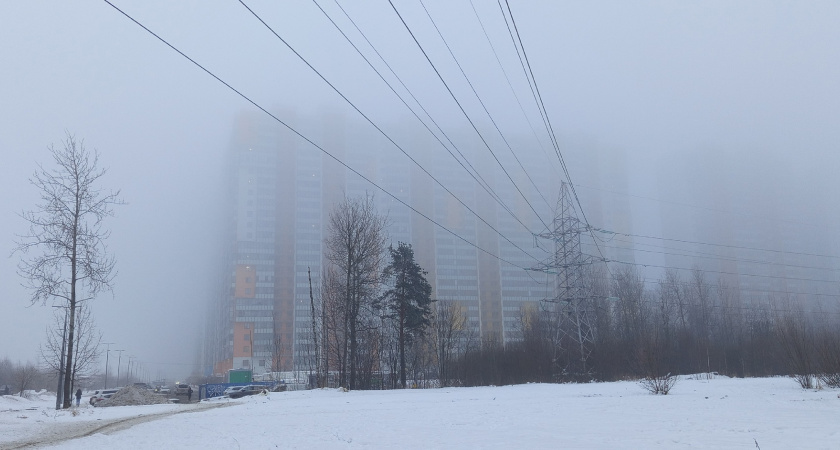 В Брянской области объявлен желтый уровень опасности из-за гололеда и тумана