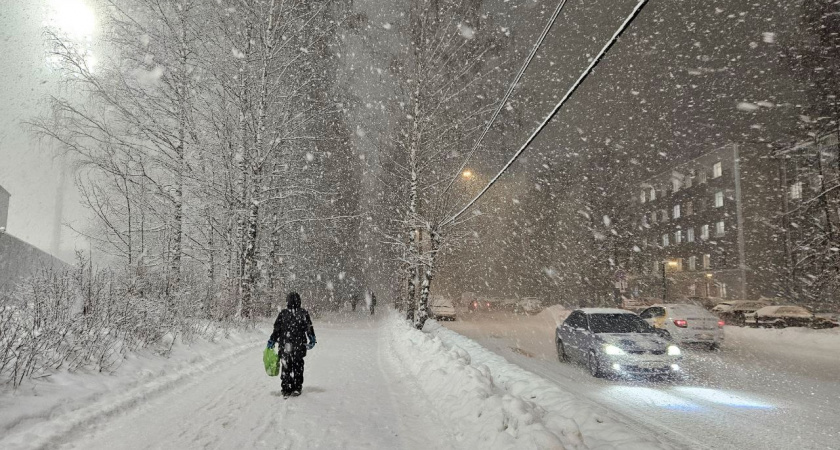 Снежная погода обрушится на Брянскую область 16 февраля: ожидаются метели и сугробы