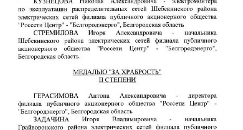 Гендиректор «Россети Центр» и губернатор Нижегородской области обсудили вопросы развития сотрудничества