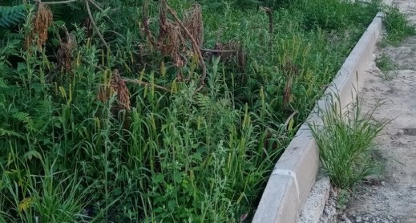 Недоделанные улицы: количество отремонтированных дорог в Брянске сильно отличается от заявленного