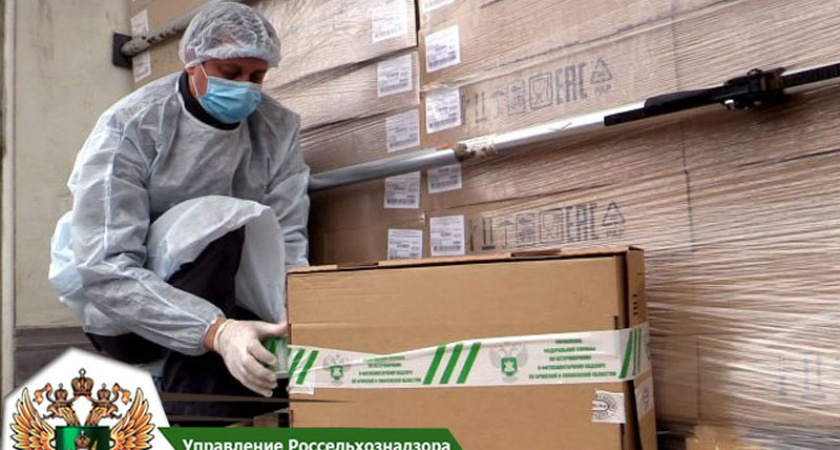 В Брянской области на границе за «нерабочие дни» пропустили более 24 тонн продуктового импорта
