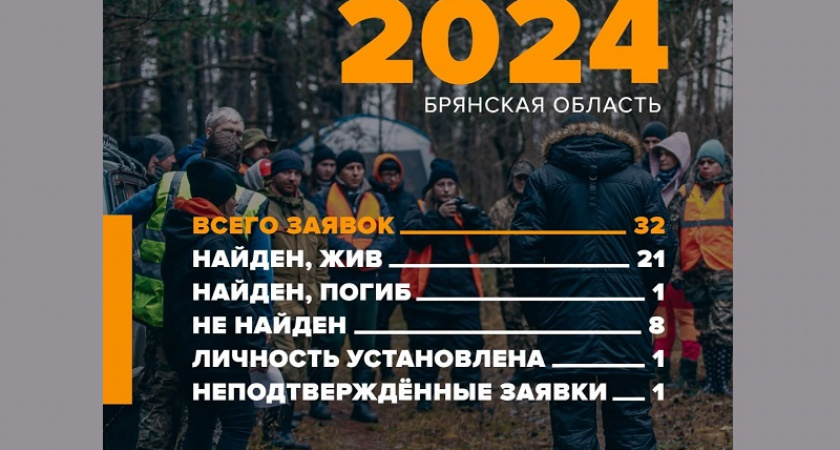 Две трети объявленных в розыск в ноябре людей найдены живыми – брянский отряд «Лиза Алерт»
