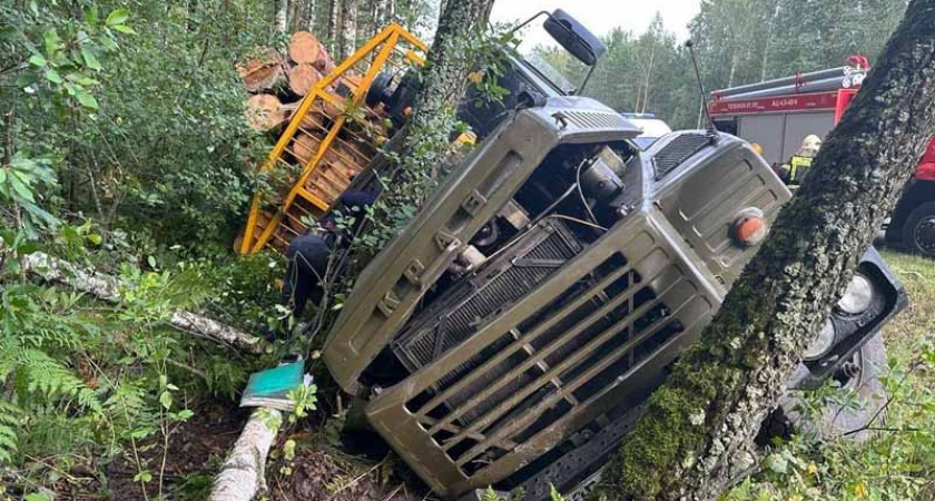 Под Брянском опрокинулся в кювет лесовоз, водитель погиб. Возможно, и от остановки сердца