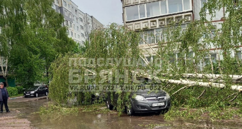 Ручьи, реки, водопады: половина Брянска «уплыла» после сильнейшего ливня