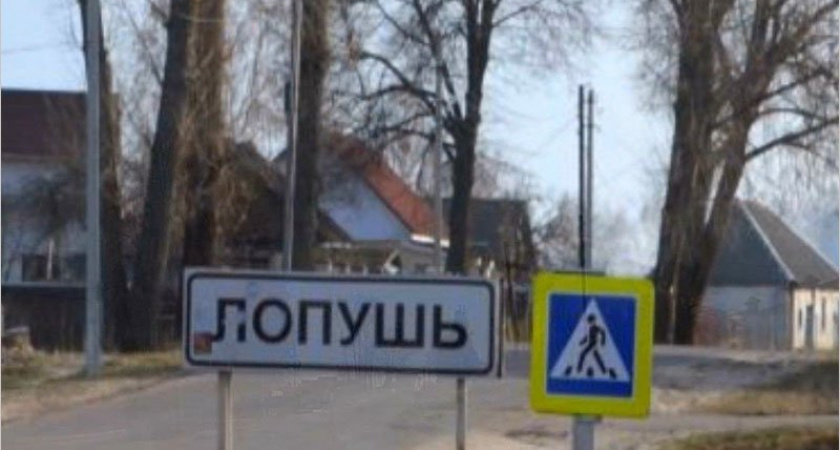 Дорога в выгоничском селе Лопушь стала поводом для судебного иска