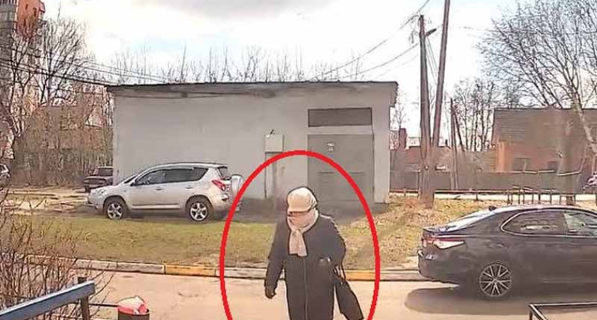 Лже-сотрудницу пенсионного фонда, похитившую 255 тыс. рублей у брянской старушки, отловили в Смоленске