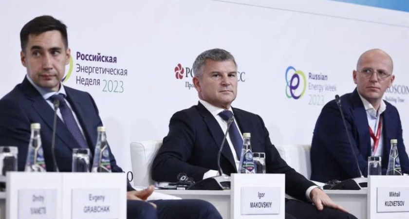 Игорь Маковский на РЭН рассказал о практике и перспективах применения систем накопления электроэнергии