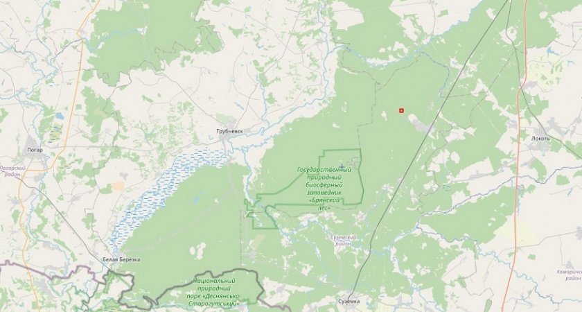 Дожди практически мгновенно потушили все природные пожары в Брянской области