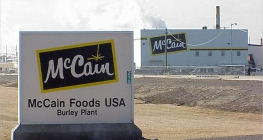 Канадская компания McCain будет строить в России завод по производству картофеля фри — в Брянске. Или в Туле