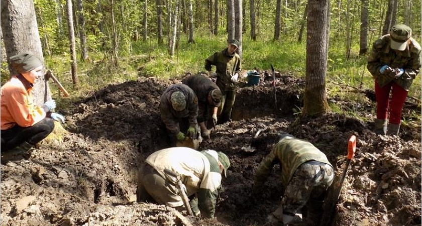 Новгородские поисковики обнаружили останки брянского красноармейца