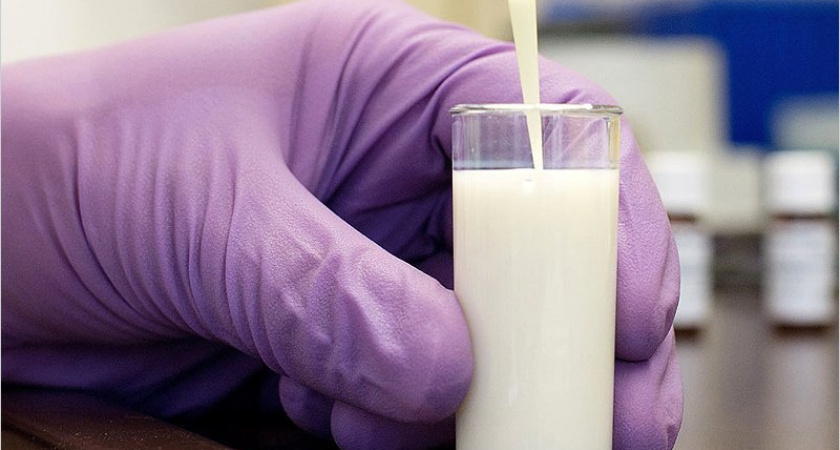 Россельхознадзор запретил продажу продукции «Сыра Стародубского» и Брянского молкомбината