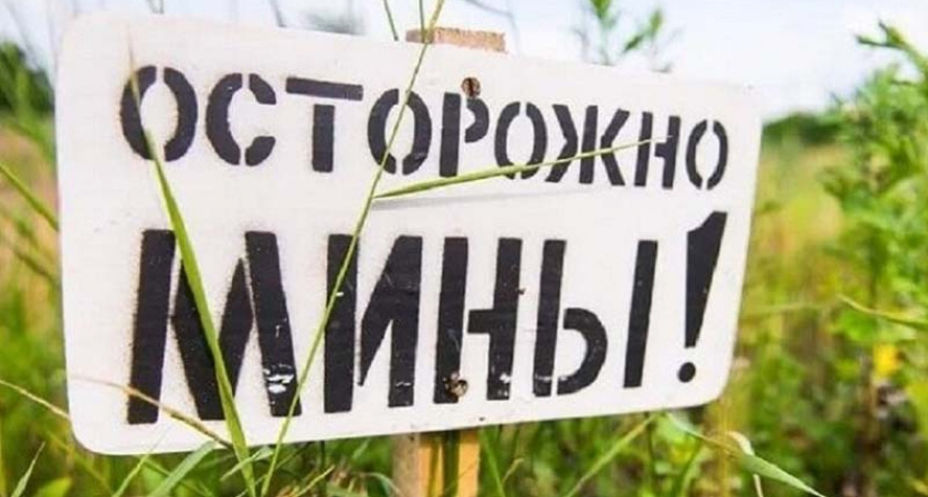 В приграничной зоне Брянской области подорвались на мине местные жители. Двое погибли, ещё один ранен