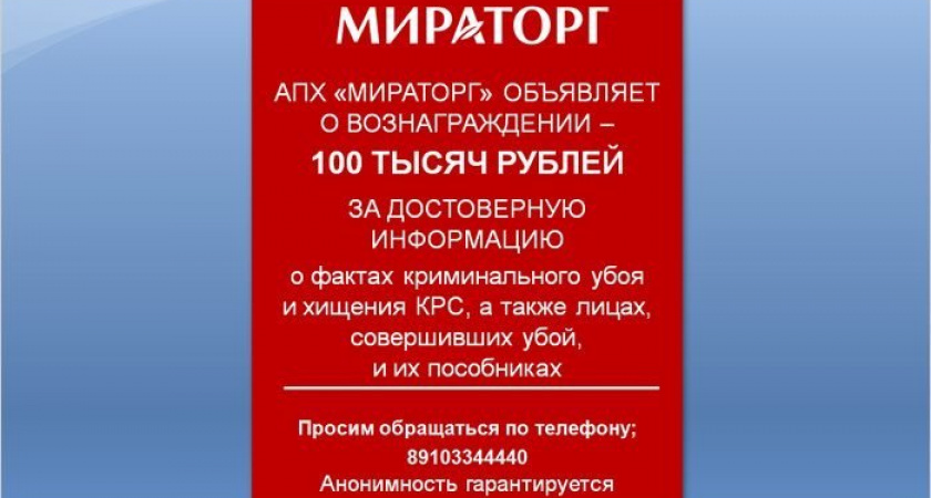 В Унече возбуждено уголовное дело за хищение телёнка с мираторговского пастбища