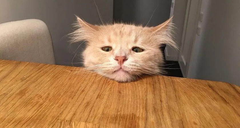 «Грустный понедельник» отмечается в мире 15 января