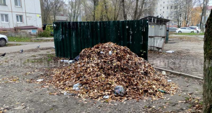Власти Брянска выиграли у «Чистой планеты» «битву за листву». И на будущее пригрозили компании штрафами