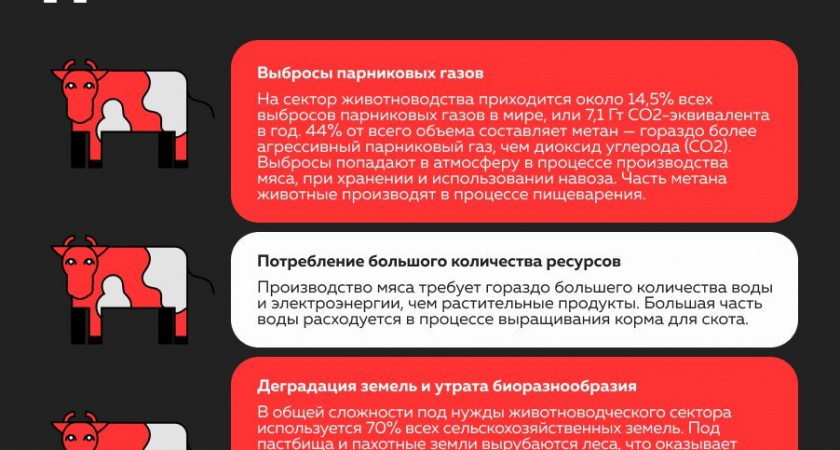 Чем мясные продукты опасны для экологии