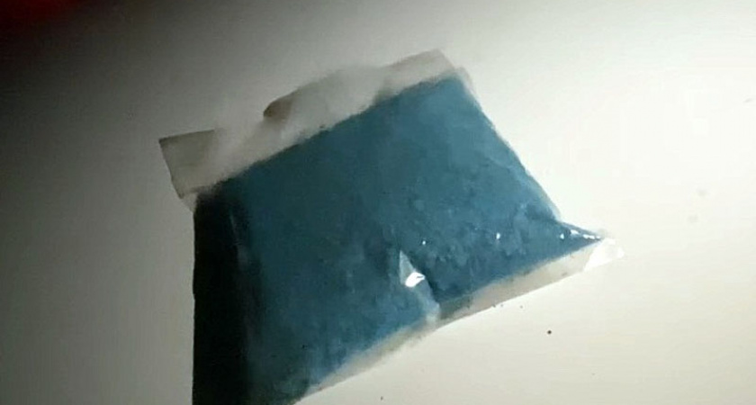 В Брянске задержали наркосбытчика из Калуги с полкило «синтетики»