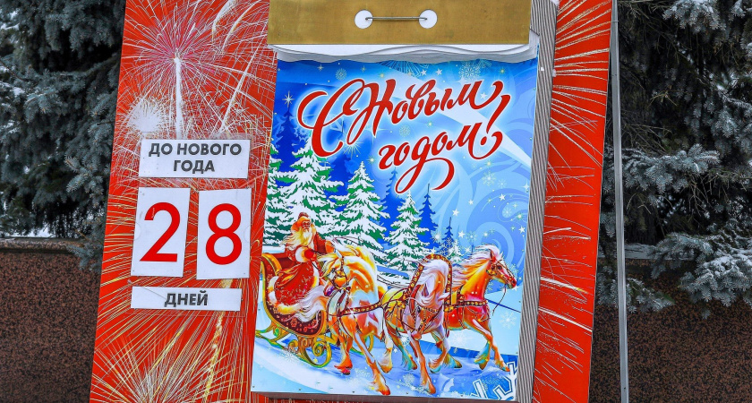 В Брянске установили главную городскую ёлку