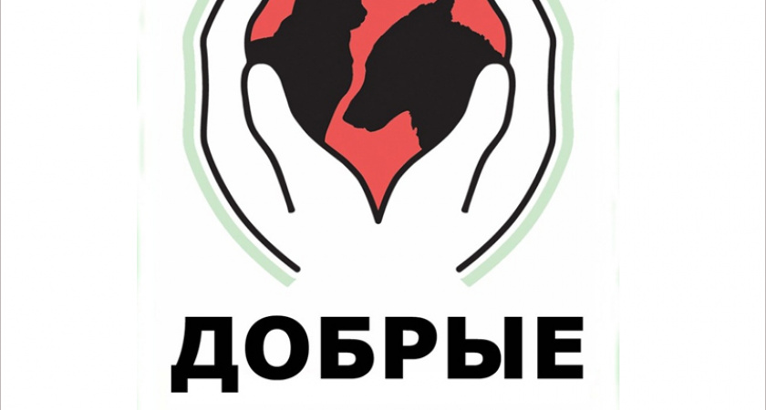 Брянский собачий приют «Добрые руки» ищет большие партии невостребованных газет