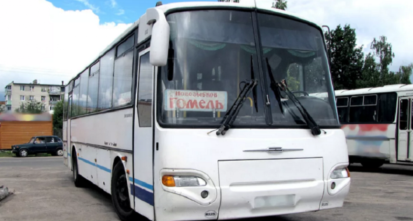 Автобусный маршрут «Новозыбков – Гомель» возобновляется с 11 августа