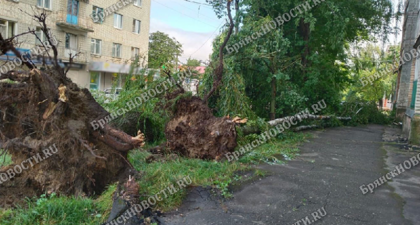 Новозыбков подсчитывает ущерб после разгула стихии 20 июля: повреждены два дома, без света остались две десятка улиц