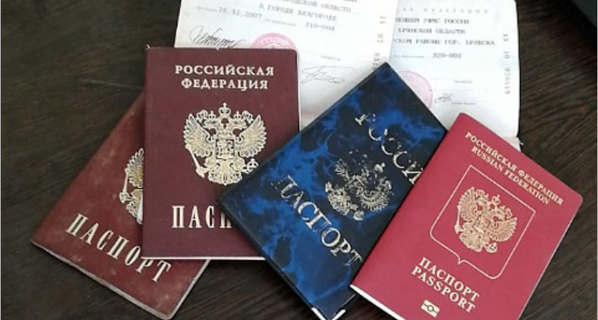 В Брянске в мусоре обнаружено шесть паспортов