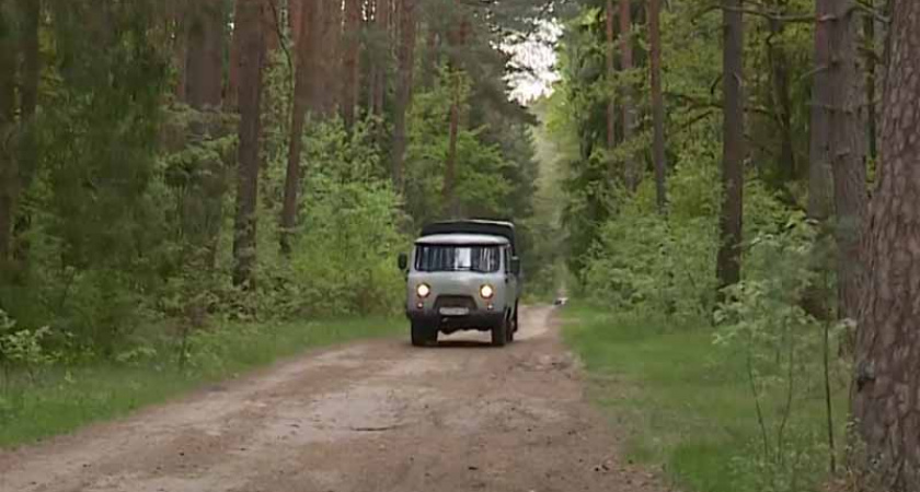 Брянские лесники усилили «противопожарное» патрулирование лесов