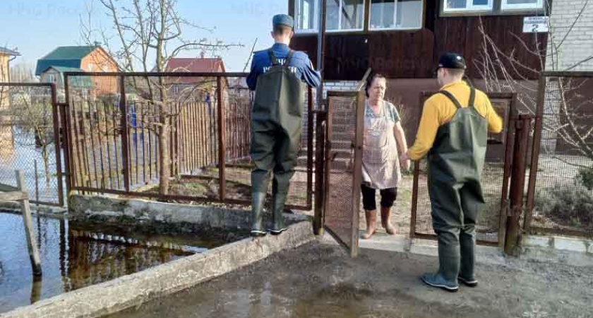 Паводок-2024: в Брянске пик половодья, затоплено 336 участков и восемь домов