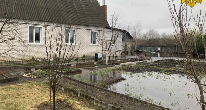 В Брянской области затопило более 300 приусадебных участков, 17 апреля подтопит ещё сотню участков и десяток домов — МЧС