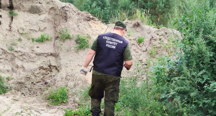 Брянский предприниматель незаконно накопал на сельхозземлях под Новозыбковом песка на 49 млн. рублей