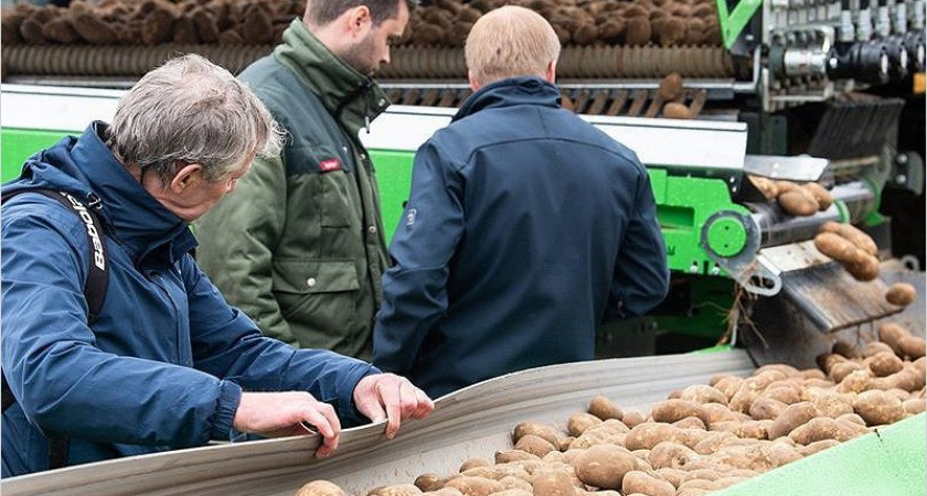 2020 год в Брянской области будет Годом картофеля