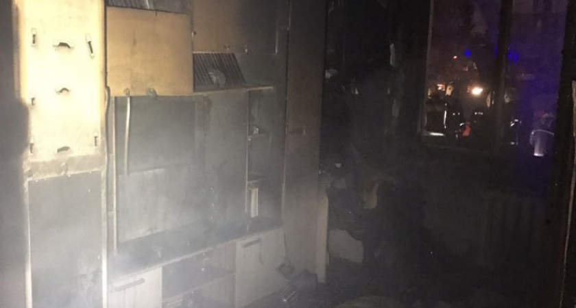 На Локотской конезавод приехали два верблюда из Пензы