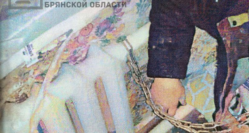 Суражского уголовника, избившего сторожа и приковавшего знакомого к батарее, отправили «на работы»