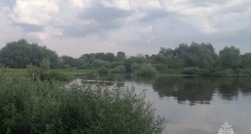 Трагедия в пригороде Брянска: три человека утонули, переходя Десну вброд
