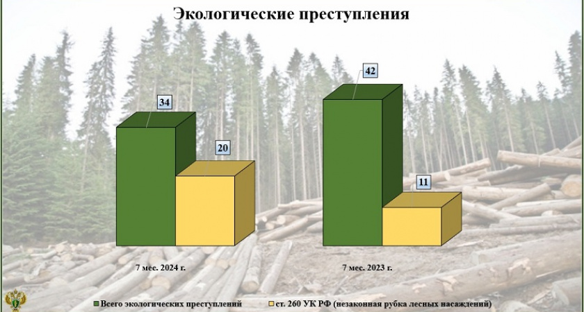 Ущерб от экологических преступлений в Брянской области с начала года превысил 20 млн. рублей