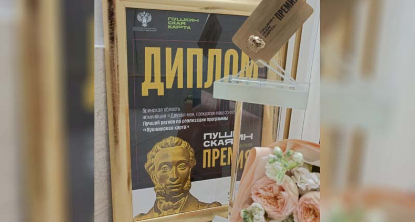 Брянская область вошла в число лучших регионов по реализации программы «Пушкинская карта»