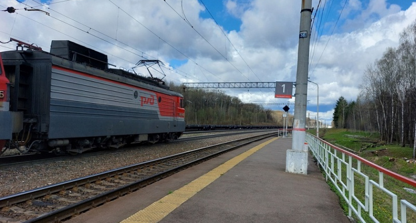 Железнодорожники подготовят в Брянской области к лету около 200 станций и остановочных пунктов
