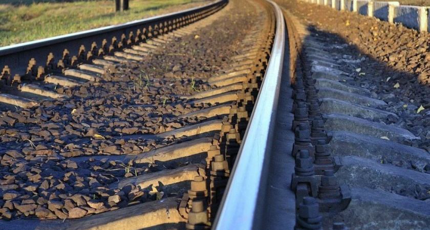 Брянских пассажиров предупредили о гербицидах на путях у станции Орджоникидзеград