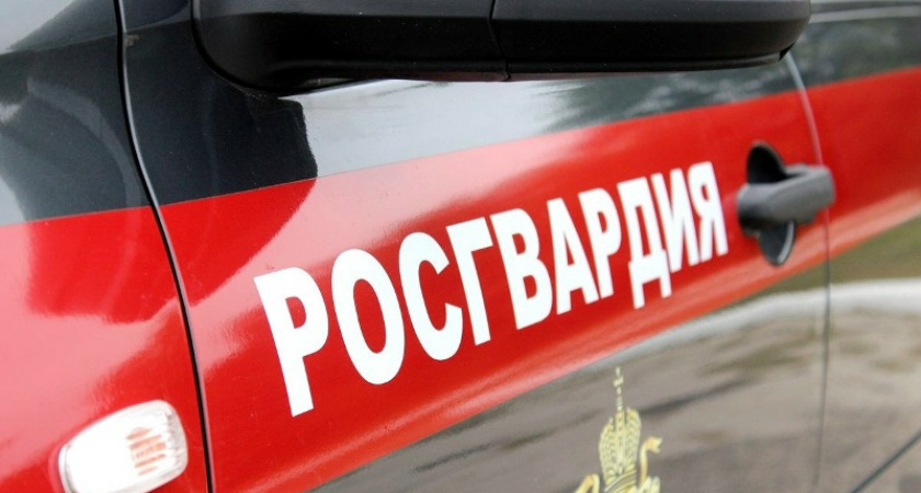 Брянские росгвардейцы провели массовую проверку несения службы частными охранниками в школах